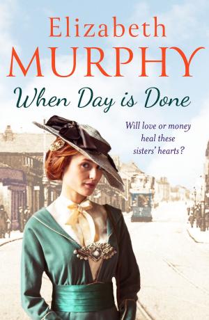 Cover of the book When Day is Done by S.J.A. Turney