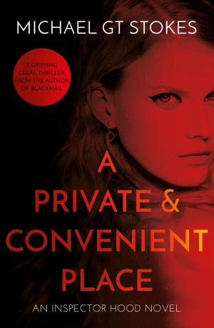 Cover of the book A Private and Convenient Place by Jenny Francis