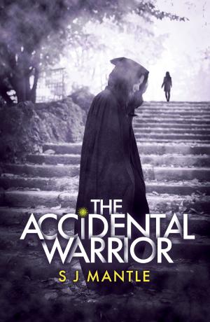 Cover of the book The Accidental Warrior by Bethany Askew