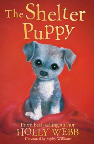 Cover of the book The Shelter Puppy by Katy Cannon