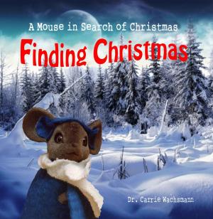 Cover of the book Finding Christmas by J.J. Allen
