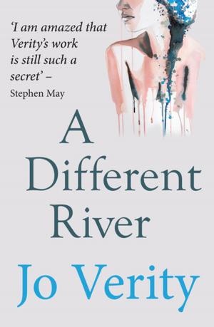 Book cover of A Different River