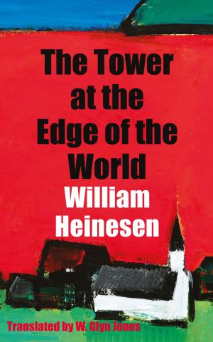 Cover of the book The Tower at the Edge of the World by Andrew Crumey