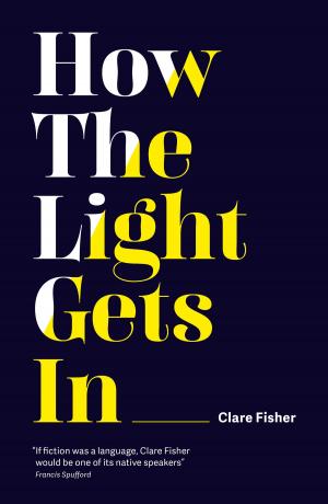 Book cover of How The Light Gets In