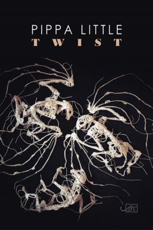 Cover of the book Twist by ko ko thett, James Byrne