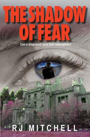 Cover of the book The Shadow of Fear by Sarah Jaune