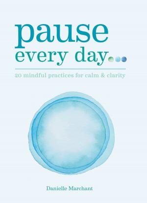 Book cover of Pause Every Day