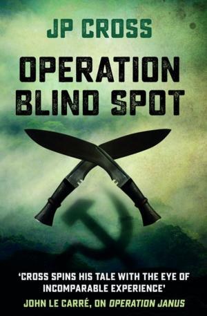 Cover of the book Operation Blind Spot by Nigel Barley