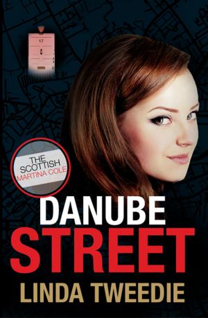 Book cover of Danube Street