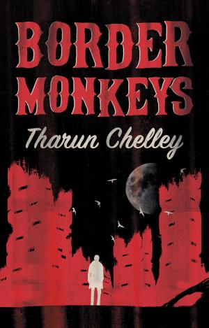 bigCover of the book Border Monkeys by 