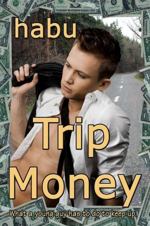 Book cover of Trip Money