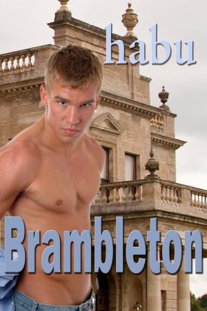 bigCover of the book Brambleton by 