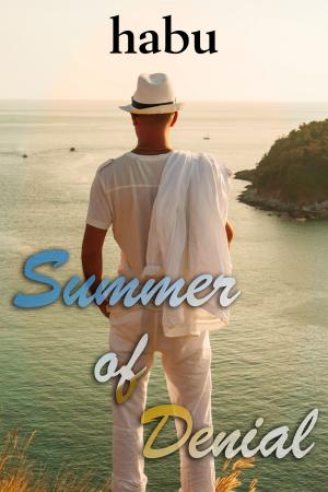 Cover of the book Summer of Denial by Shabbu