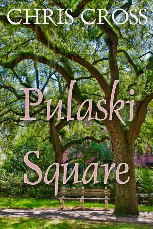 Book cover of Pulaski Square