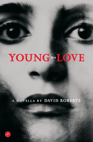 Cover of the book Young Love by Matthys Ferreira