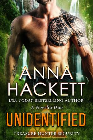 Book cover of Unidentified (Treasure Hunter Security #7)