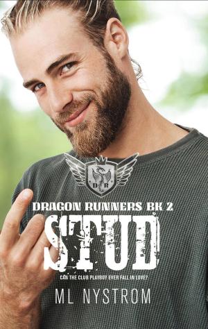 Cover of the book Stud by Shyla Colt