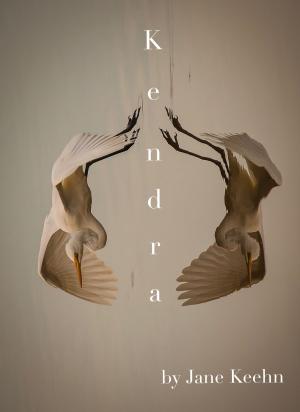 Cover of the book Kendra by Andrew McEwan