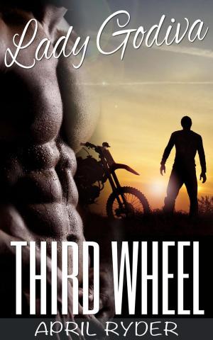 Cover of the book Third Wheel by Jordan Dumer