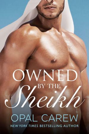 Book cover of Owned by the Sheikh