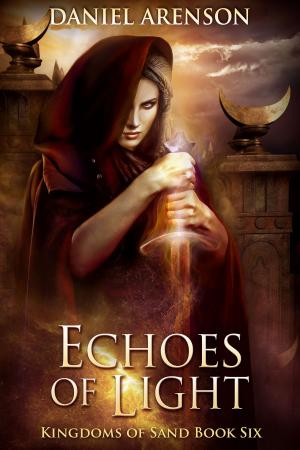Cover of the book Echoes of Light by Emma Storm