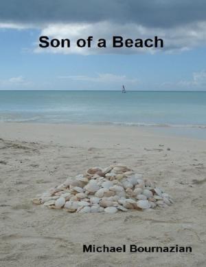Cover of the book son of a beach by RJ Steele