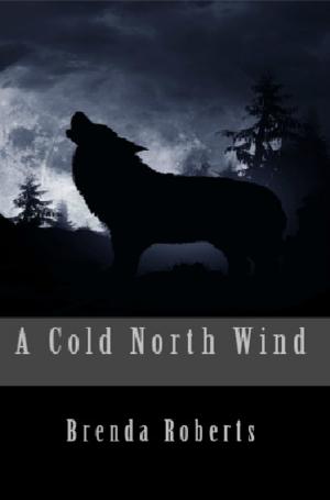 Cover of the book A Cold North Wind by Brett Wallach