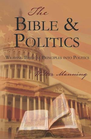 Cover of the book The Bible and Politics by Todd Rettburg