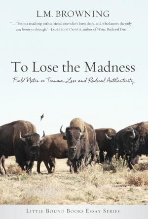 bigCover of the book To Lose the Madness by 