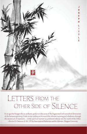 Cover of the book Letters from the Other Side of Silence by William Sanches