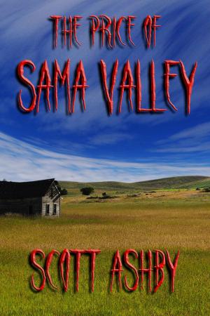 Cover of the book The Price of Sama Valley by C R Simper