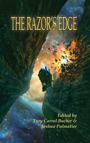 Cover of the book The Razor's Edge by Christi Smit