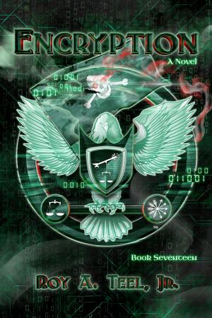 Cover of the book Encryption: The Iron Eagle Series Book Seventeen by Chris Simon