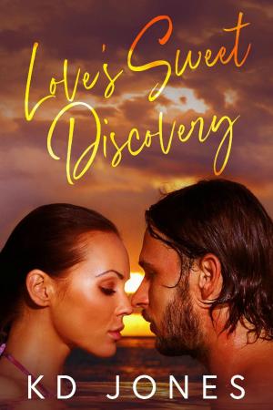 Cover of the book Love's Sweet Discovery by ann chin