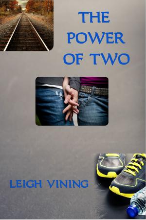 Cover of the book The Power of Two by A.M. Hawke