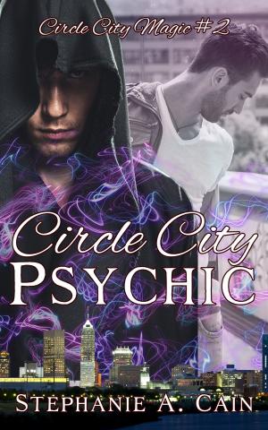 Cover of the book Circle City Psychic by Linda Waldner