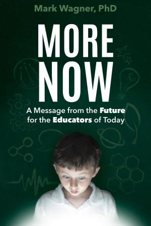 Cover of the book More Now by Jen Lilienstein