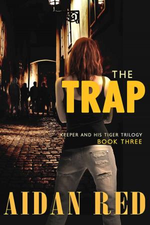 Cover of the book The Trap by Ismaël Saidi, Rachid Benzine