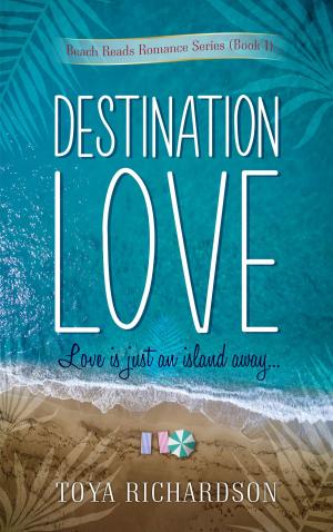 Cover of the book Destination Love by Carol McKibben