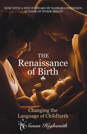 Cover of the book Renaissance of Birth by Evan Johnson