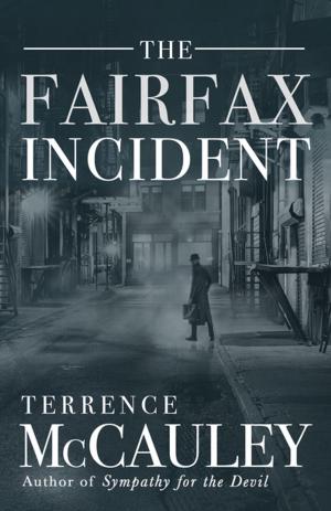 Cover of the book The Fairfax Incident by Joseph Olshan