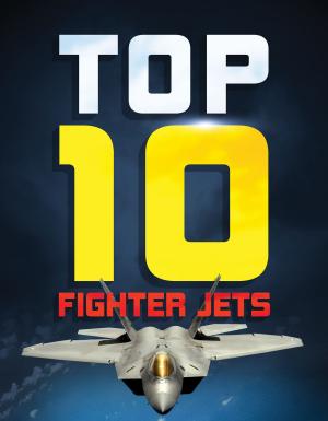 Cover of the book Fighter Jets by Henry Leland