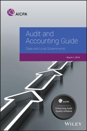 Cover of the book Audit and Accounting Guide by Herbert Budzikiewicz, Mathias Schäfer
