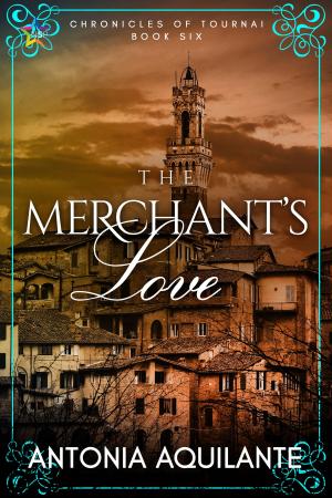 Cover of the book The Merchant's Love by Maggie O'Dempsey
