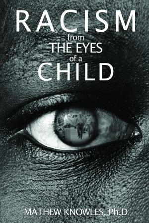 Book cover of Racism From the Eyes of a Child