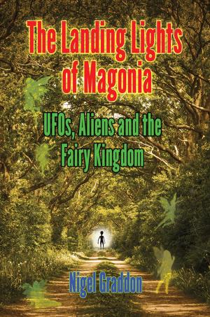 Cover of the book THE LANDING LIGHTS OF MAGONIA by Moray B . King