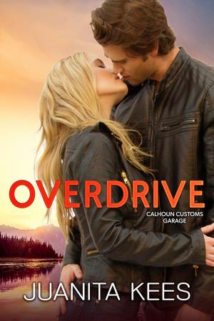 Cover of the book Overdrive by Jane Porter, Rebecca Lyles