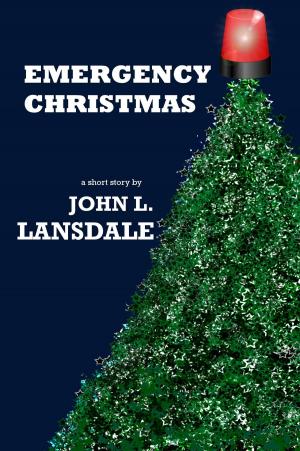 Book cover of Emergency Christmas
