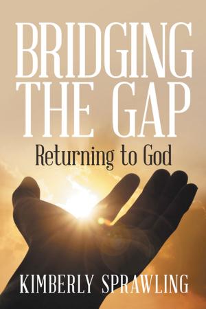 Cover of the book Bridging the Gap by Julia Nastasi