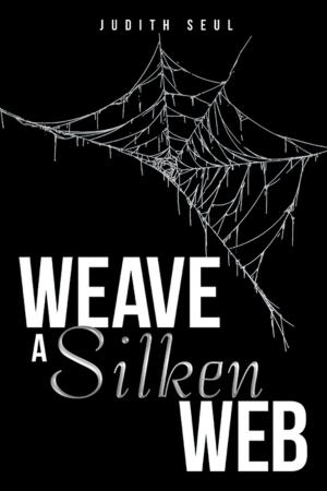 Cover of the book Weave a Silken Web by Teresa Jones